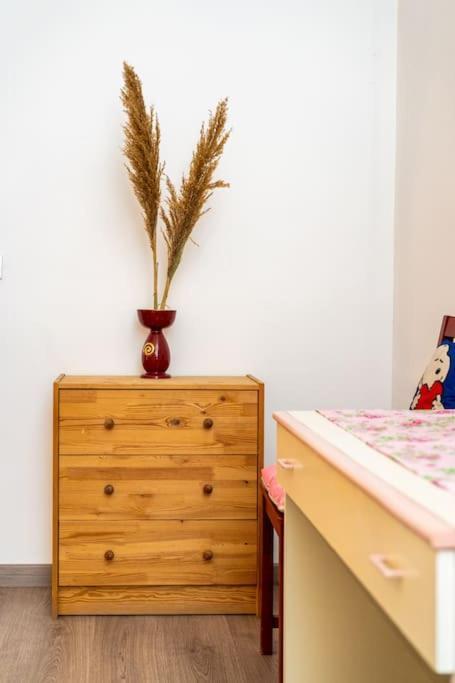 Guesthouse Pet'S Friendly Quattromiglio Екстериор снимка